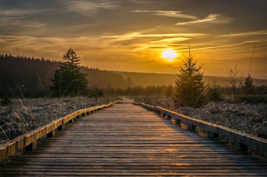 Découvrez la belle région de Malmedy et ses alentours